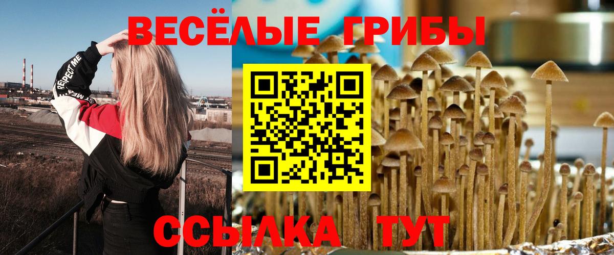 Галлюциногенные грибы GOLDEN TEACHER Астрахань