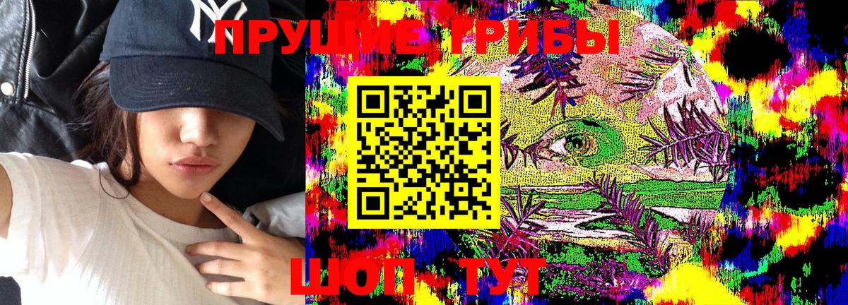 Псилоцибиновые грибы GOLDEN TEACHER  где купить наркоту  Астрахань  Вход с VPN  Галлюциногенные грибы Psilocybe 
